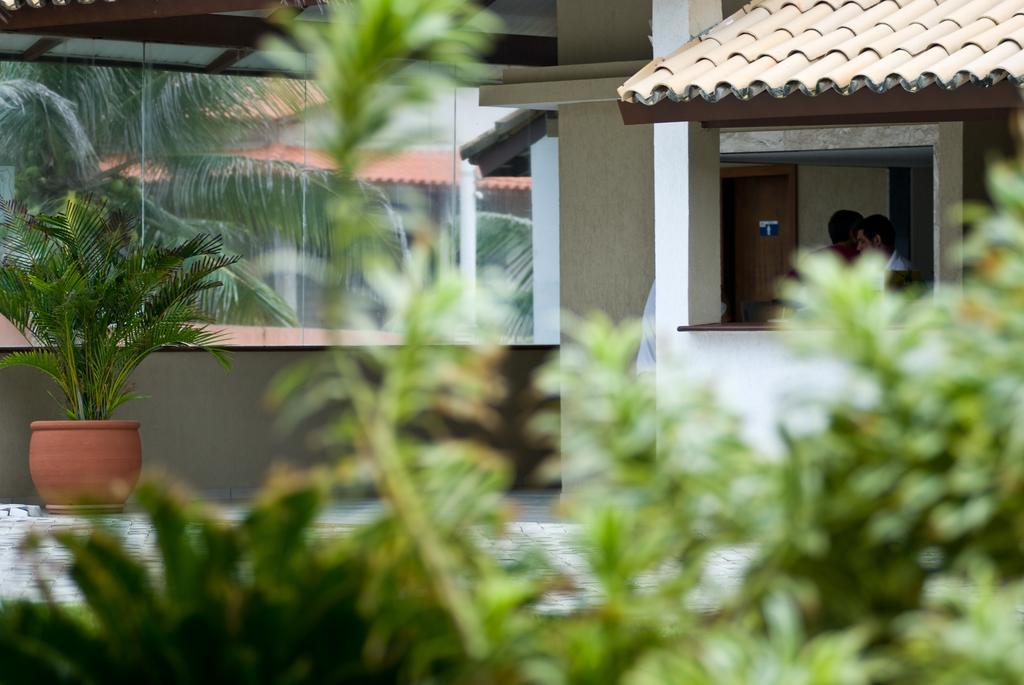 Oyo Hotel Arembepe Beach Hotel, Camacari Exteriör bild